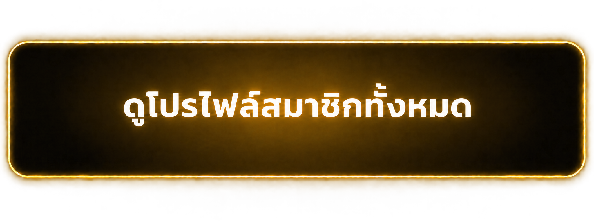 ดูโปรไฟล์